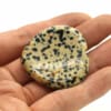 Dalmatian Jasper Thumb Worry Stone