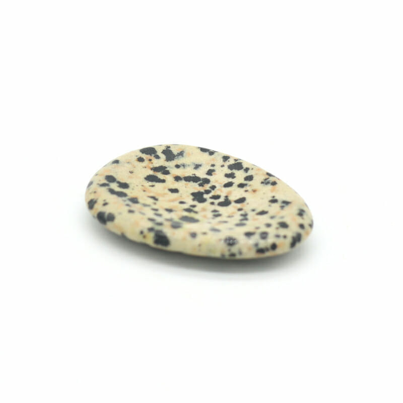 Dalmatian Jasper Worry Stone 6