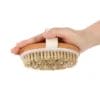 bulk Wood Shower Brush